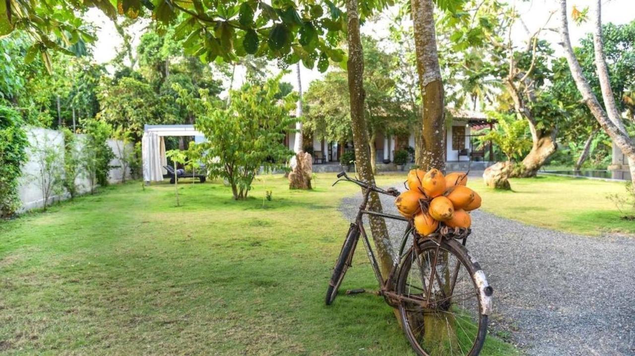 Antique Ceylon Villa Аханґама Екстер'єр фото