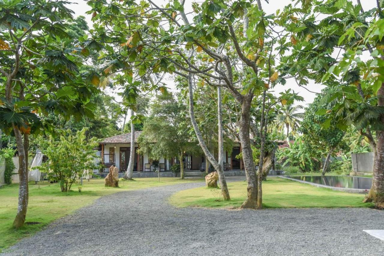 Antique Ceylon Villa Аханґама Екстер'єр фото